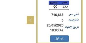 التزايد ينتهي غدًا.. «المرور» تطرح لوحة سيارة مميزة سعرها 716 ألف جنيه
