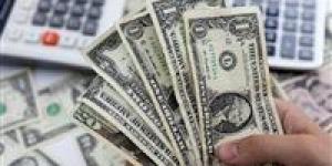 سعر الدولار في البنوك المصرية اليوم الاثنين 19 مايو 2025