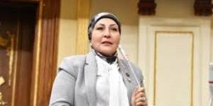 برلمانية: توجيهات الرئيس للاستثمار تتطلب ترجمة حكومية عاجلة لإزالة العقبات