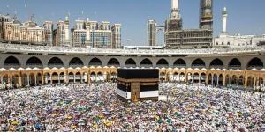 استقبال مهيب لحجاج القرعة المصريين في المدينة المنورة مع تنظيم إلكتروني متطور