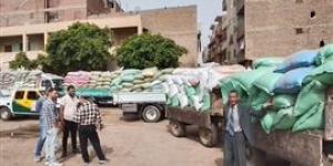 توريد 390 ألف طن من القمح بصوامع المنيا