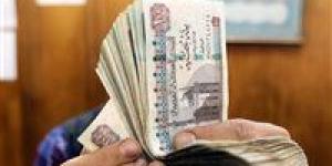 700 جنيه..تعرف على قيمة الحافز الإضافي للعاملين بالدولة وفقاً للقانون الجديد