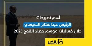 أهم تصريحات الرئيس عبدالفتاح السيسي خلال فعاليات موسم حصاد القمح 2025 | إنفوجراف