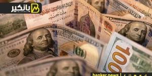 الدولار يواصل التراجع أمام الجنيه اليوم الأربعاء.. ويسجل 49.8 جنيه للشراء