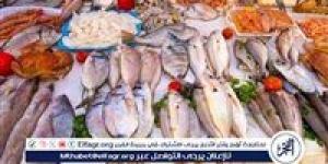 أسعار السمك البلطي والبوري اليوم الاربعاء 21-5-2025 في محافظة قنا