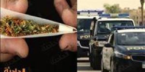 اقتحام أوكار الكيف.. مصرع 4 عناصر إجرامية وضبط ممنوعات بـ 21 مليون جنيه