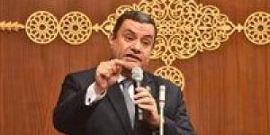 نائب التنسيقية أكمل نجاتي يوافق على تعديل قانون مجلس الشيوخ.. ويثمن عدم زيادة عدد المقاعد