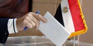 الدوائر الانتخابية.. نائب رئيس مستقبل وطن: لا تدخل حكومي أو حزبي في توزيع المقاعد