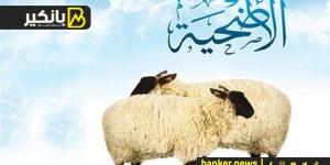 الخروف بـ 7 آلاف جنيها.. أسعار الأضاحي في مصر 2025