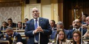 القصبي: مشروع قانون النواب يحقق التوازن بين العدالة العددية والتماسك الجغرافي والالتزام الدستوري