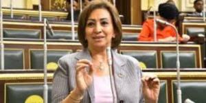 مها عبد الناصر: نحتاج تعديلات جوهرية على قانون انتخابات مجلسي النواب والشيوخ