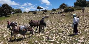 مطالب بفك العزلة