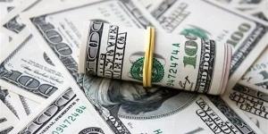 ضبط قضايا إتجار بالنقد الأجنبي بتعاملات 13 مليون جنيه