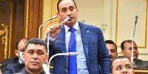 النائب محمد زين الدين يطالب الحكومة بالرقابة على الأسواق بعد تطبيق العلاوة: "اللي تديه الدولة باليمين التجار بياخدوه بالشمال"