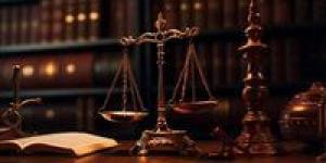 تاجيل اولى جلسات محاكمه 32 متهم بـ " لجان المغتربين "