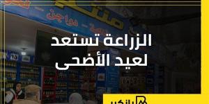 الزراعة تستعد لعيد الأضحى | إنفوجراف