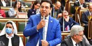 برلماني عن "العسل المغشوش": الغش التجاري يهدد حياة المصريين