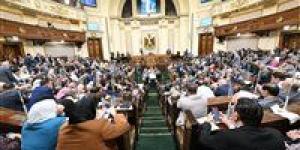 بسمة جميل : قانون العلاوات والحوافز الجديد دفعة قوية لتحسين أجور العاملين بالدولة ومواجهة أعباء المعيشة