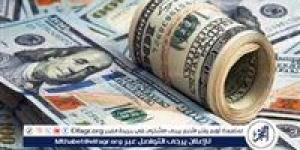 سعر الدولار اليوم 31-5-2025 أمام الجنيه فى البنك المركزى