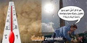الأرصاد: درجات الحرارة اليوم السبت 31-5-2025 في مصر مستقرة وحالة الطقس جوزائية