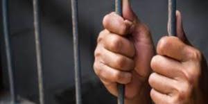 ضبط صاحب مقهي لاتجاره في النعام والكلاب والنسانيس في المحلة