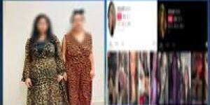 القبض على سيدتين بثّتا مقاطع خادشة للحياء عبر مواقع التواصل لتحقيق أرباح مالية