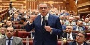 نائب وزير المالية: لا زيادة في الأعباء الضريبية والضرائب العقارية