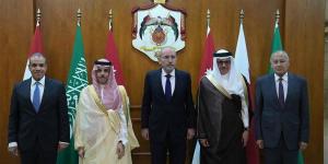اللجنة العربية الإسلامية: ندعم الجهود المبذولة ...