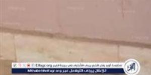 شواهد أثرية يمكن أن تقود لكشف أثري سفل قصر ثقافة الطفل بالأقصر