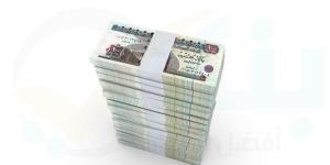 QNB مصر الأسرع في القروض المشتركة بين البنوك ...
