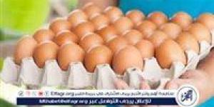 أسعار طبق البيض اليوم الاثنين 2-6-2025 في قنا