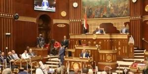 مجلس الشيوخ يرفع أعمال الجلسة العامة