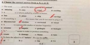 حل امتحان اللغة الإنجليزية 2025 لطلاب الصف الثالث الإعدادي بمحافظة القاهرة