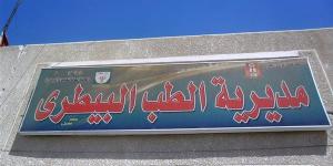 طرح لحوم بلدية بأسعار مخفضة في الوادي الجديد استعدادًا لعيد الأضحى