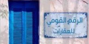 عاجل.. الاتصالات: المواطن سيكتفي بتقديم الرقم القومي العقاري في جميع الإجراءات