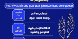 بالإنفوجراف.. توريد أكثر من 300 ألف طن قمح لشون وصوامع البحيرة حتى صباح اليوم
