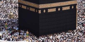 حكم أخذ المُضَحِّي من شَعْره وظُفُره من أول ذي الحجة
