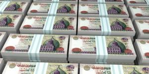الأفراد يستحوذون على 21.8% من قروض البنوك المدرجة بالبورصة بالربع الأول 2025