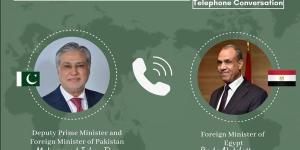 وزير خارجية باكستان يهنئ عبد العاطي بعيد الأضحى