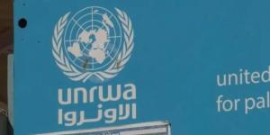 أمجد الشوا: الاحتلال يسعى لتقويض عمل الأونروا الإنساني