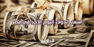 سعر الدولار في ثالث أيام العيد 8-6-2025.. الأخضر بقى بكام؟