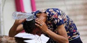 شبورة مائية كثيفة.. الأرصاد تحذر من حالة الطقس في مصر رابع أيام عيد الأضحى