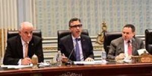 زراعة النواب تناقش مع وزير التموين خلط الشعير مع القمح لإنتاج رغيف الخبز