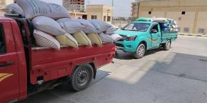310 ألف طن قمح بصوامع وشون البحيرة منذ بدء الموسم