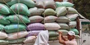 محافظ المنيا: استمرار أعمال توريد القمح بتوريد 508 آلاف طن قمح منذ بدء موسم 2025