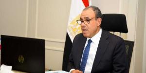 وزير الخارجية والهجرة يشارك في اللقاء الافتراضى مع الجالية المصرية في المملكة المتحدة