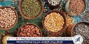 أسعار البقوليات اليوم الاثنين 16-6 -2025 في أسواق ومحال محافظة الدقهلية