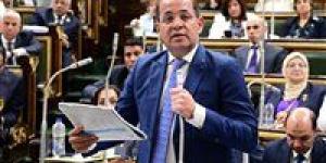 وزير المالية بمناقشات الموازنة:لدينا أهداف للحماية الإجتماعية وخفض الدين ودعم الإنتاج