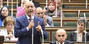 بكري: تجربة الألمان بعد الحرب العالمية «ملهمة» ومصر قادرة على تجاوز التحديات