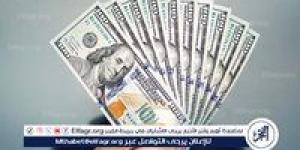 سعر الدولار مقابل الجنيه: أسعار الشراء والبيع تسجل تحركات جديدة في معظم البنوك